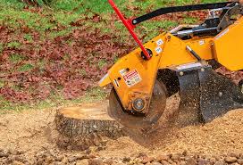 Best Emergency Tree Removal  in Hagerstown, IN